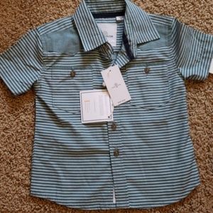 Green stripe button up shirt